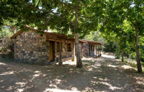 Cepo Verde, Gondesende